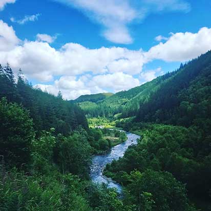 Hafod Estate